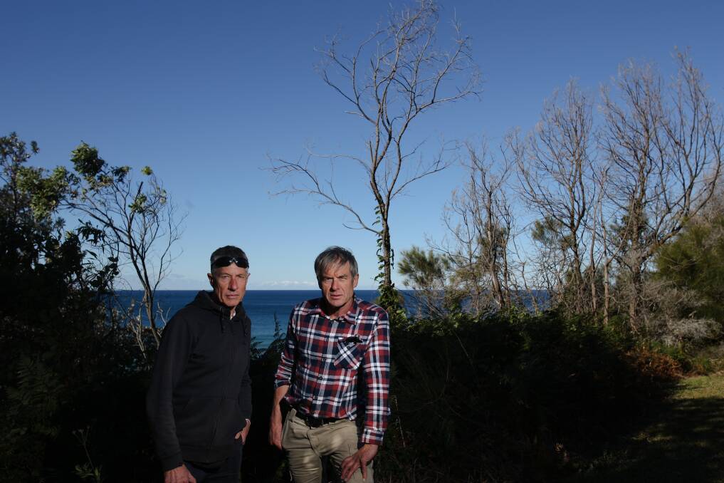 Action needed: Northern suburbs residents Ross Dearden and Ian Knight at a site of tree vandalism in Coledale. The pair want council to step up efforts against tree vandalis in oceanside suburbs. Photo: Adam McLean