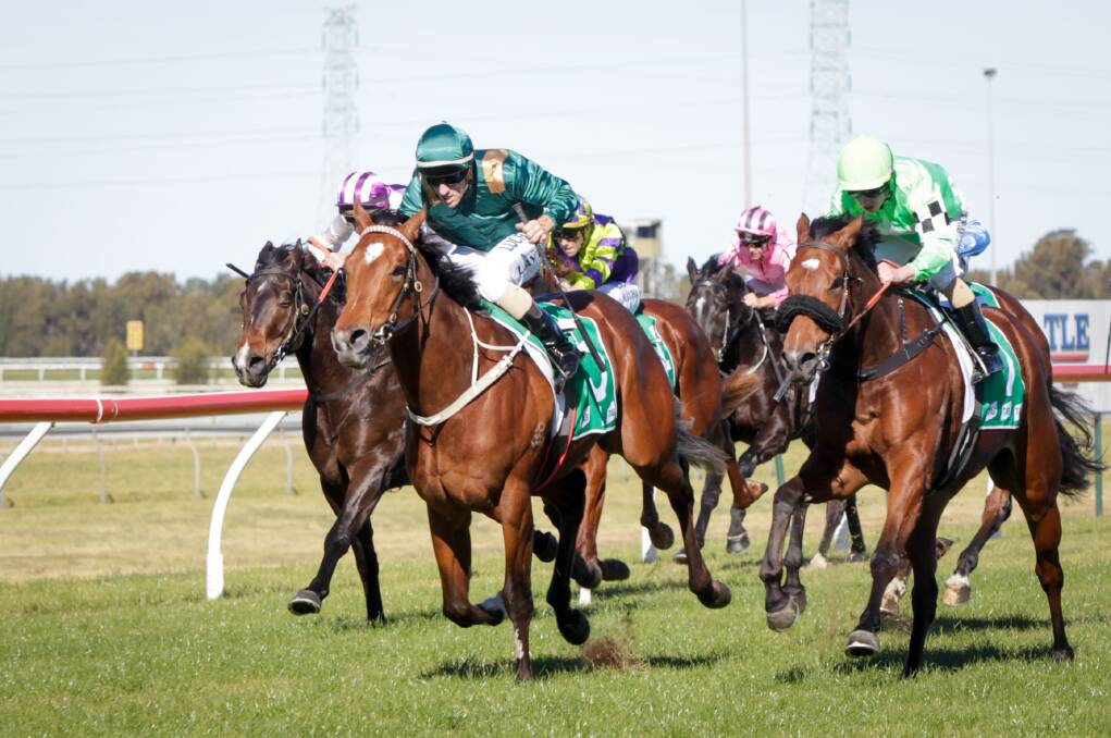 BIG FUTURE: Severance, ridden by Adrian Layt, gave Peter and Paul Snowden a winner at Kembla Grange on Saturday. Picture: Georgia Matts