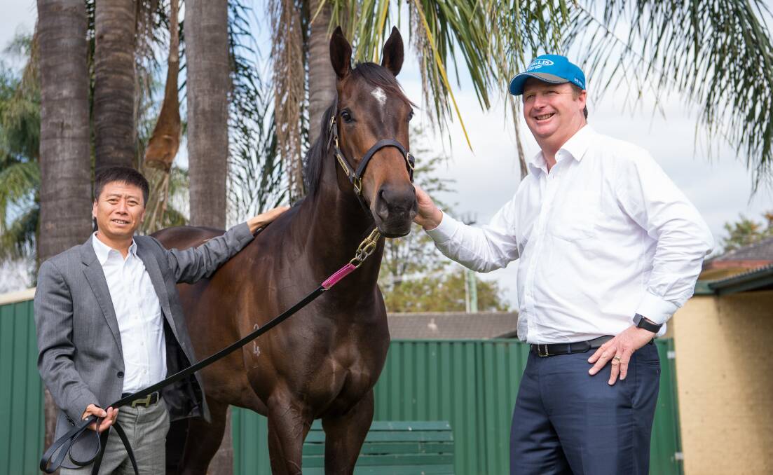 CLIMB TO THE TOP: Slot holder Yuesheng Zhang (left) with trainer of She Will Reign, Gary Portelli at his stables ahead of the $10 million The Everest. Picture: Wolter Peeters,