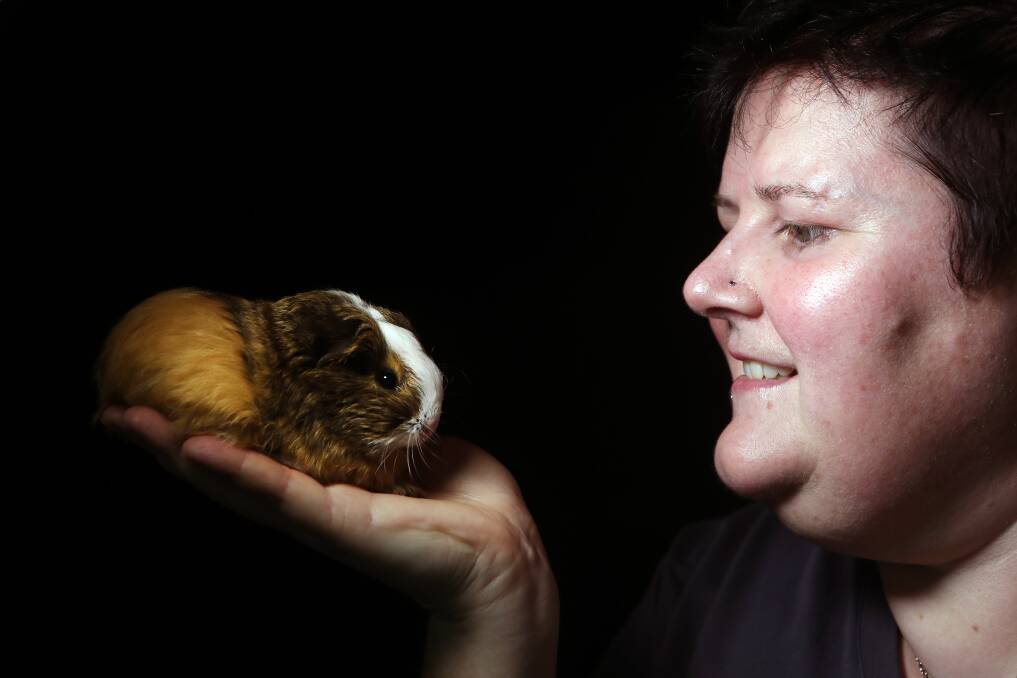 BEST ON SHOW: Alissa Clegg from the Greater Sydney Cavy Club with Maximus ahead of a guinea pig show at Russell Vale Community Hall on March 11. Registrations by 11:30am, show starts at 12pm. Picture: Sylvia Liber