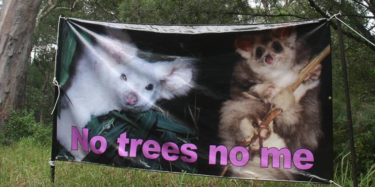 Possum message: The banners will be erected on the roadside before the election