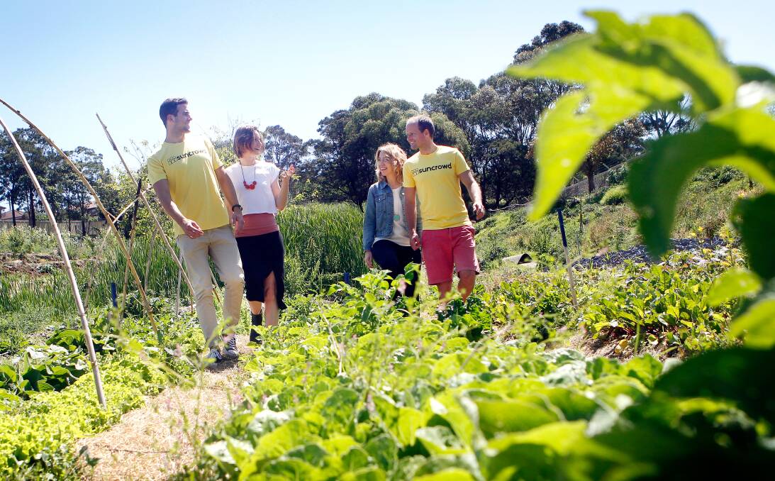 Gang green: Jelmer Van Rooij, Green Connect general manager Jess Moore, Sally Coggiola, and Chris Cooper at the Urban Grown garden at Warrawong. Picture: Sylvia Liber