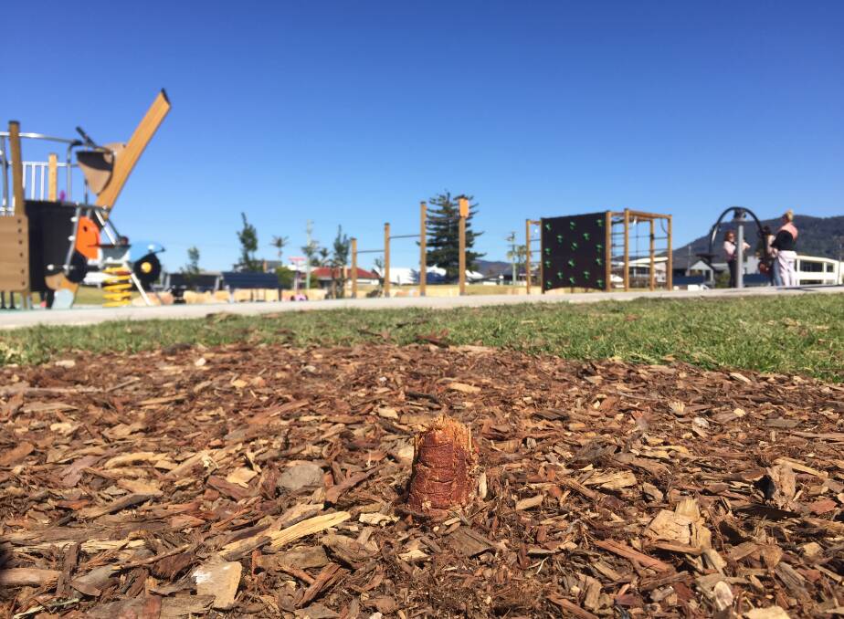 PLAYGROUND: Several native trees were destroyed at the Nicholson Park playground in Woonona.