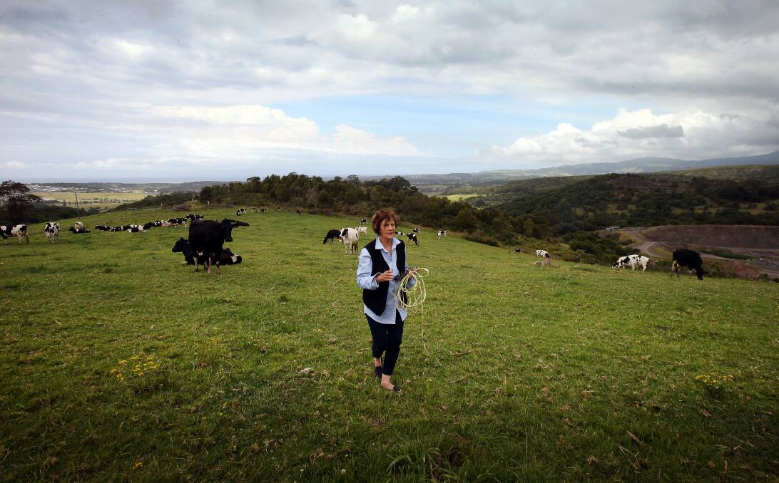 Buffer zone: Susan Dunster on her family's dairy farm at Croom. Quarrying operations can be seen in the background, and may soon expand closer to the dairy. Picture: Sylvia Liber