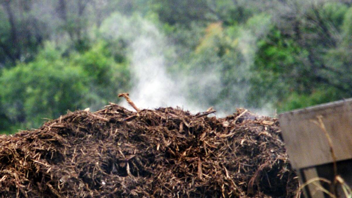 Carbon up: A steaming pile of decaying compost at Whytes Gully tip