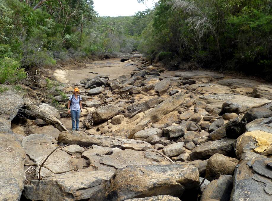 Big job: West of Helensburgh parts of the Waratah Rivulet, which flows into the Woronora Dam, have dried up after the creek bed cracked from mine subsidence.