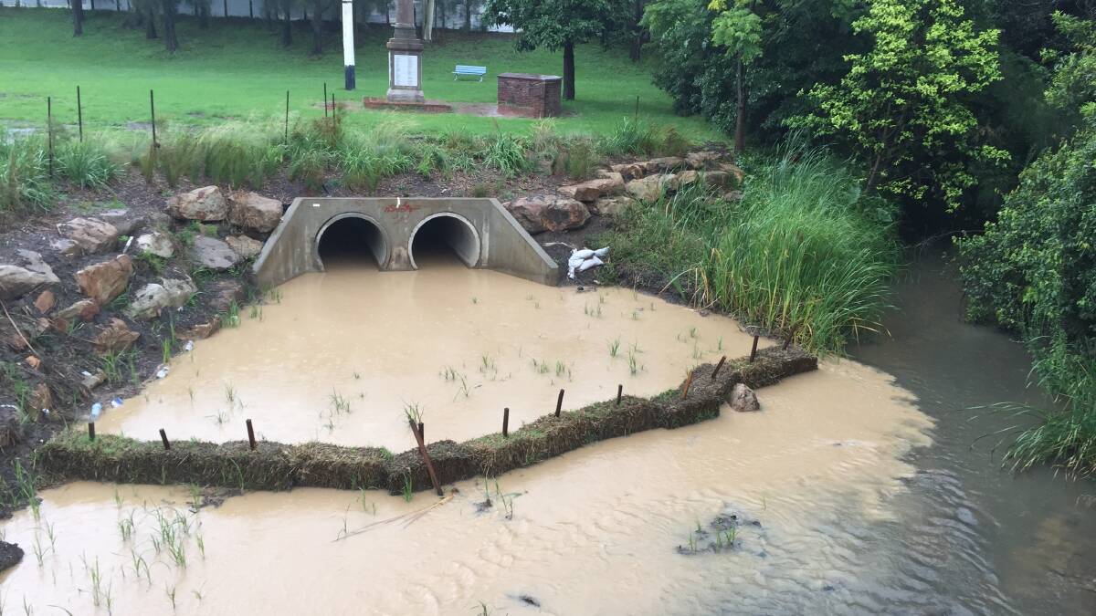 Slack job: Slacky Creek at Bulli was polluted with runoff from the storm drain