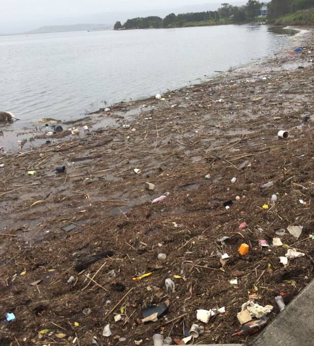 Refuse: Wollongong City Council encourages residents to report pollution like this mess at Kully Bay on Lake Illawarra last week.