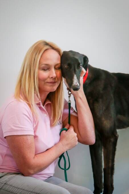 Passion for helping greyhounds. Picture: Adam McLean