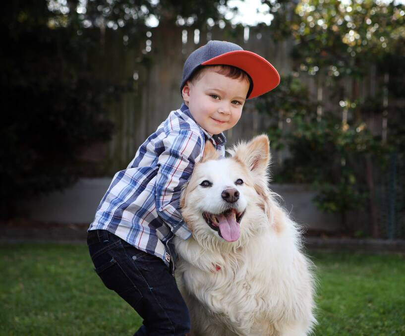 Rare condition: Riley Bowyer - pictured with his pal Chez -  suffers from an auto-inflammatory disease called Periodic Fever Syndrome which causes recurring bouts of fever and pain. Picture: Sylvia Liber