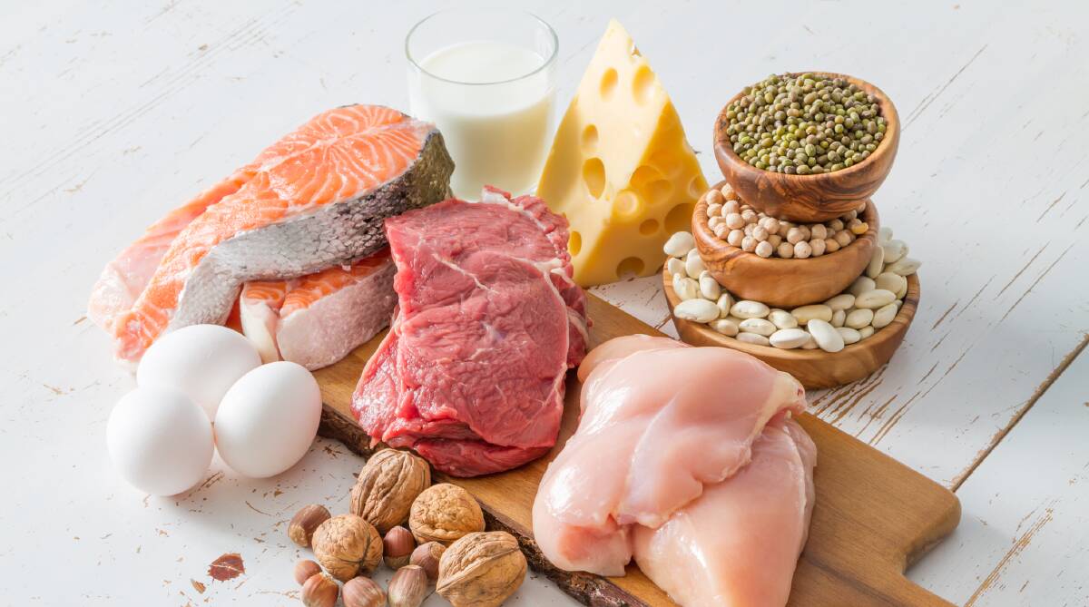 Quality protein sources: Foods that are high in protein include red meat, chicken, fish, nuts, cheese, milk and eggs.
