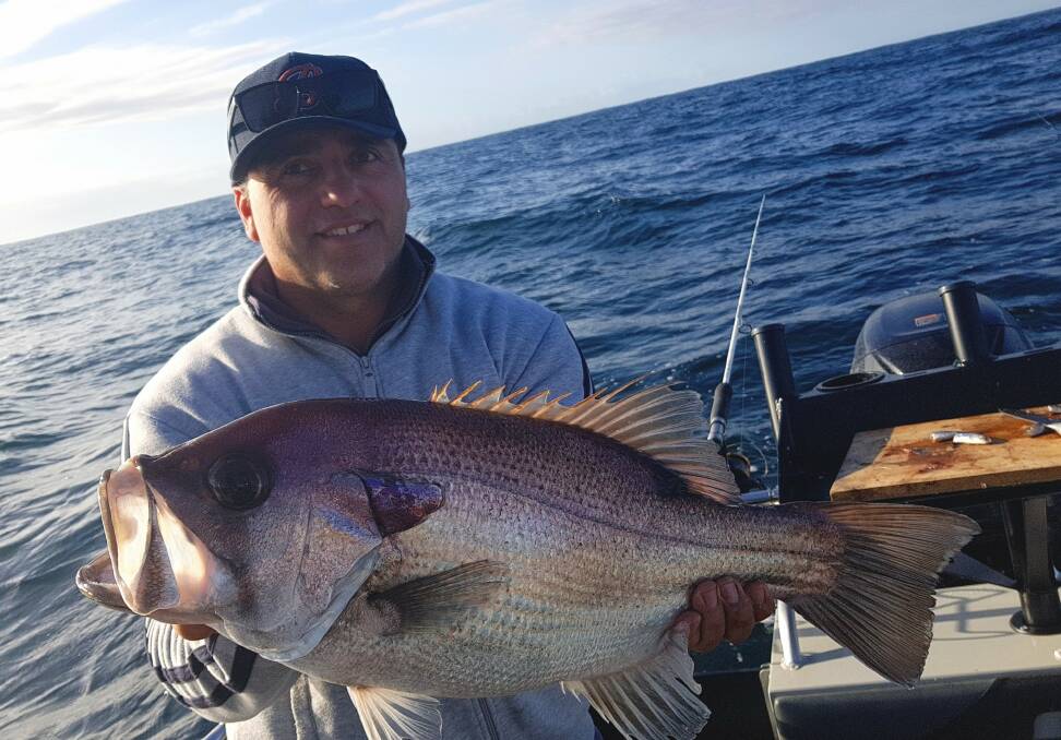 Vasko Dimoski with a wow factor pearl perch of 4.5 kilos caught locally.