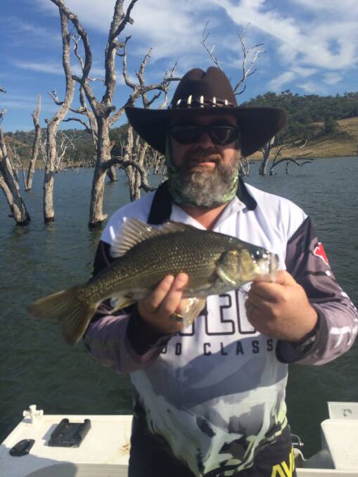 Dam fine fish: Daryl Wardman trolled the timber at Glenbawn Dam to catch and release this Australian bass.