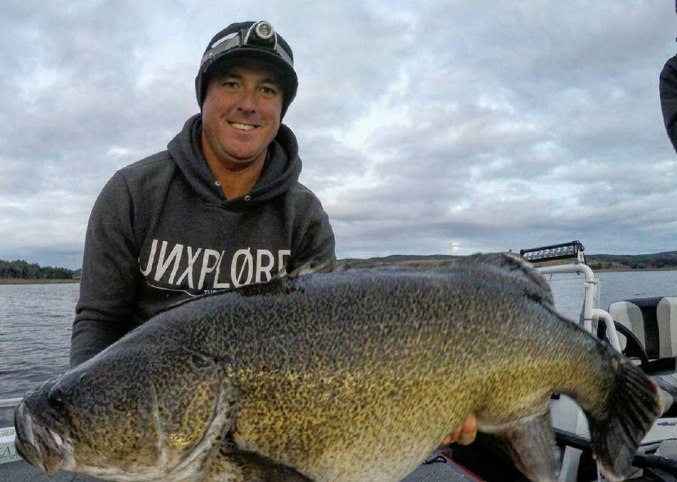 What a whopper!: Curtis Parker fished Copeton Dam to catch and release this enormous Murray cod.