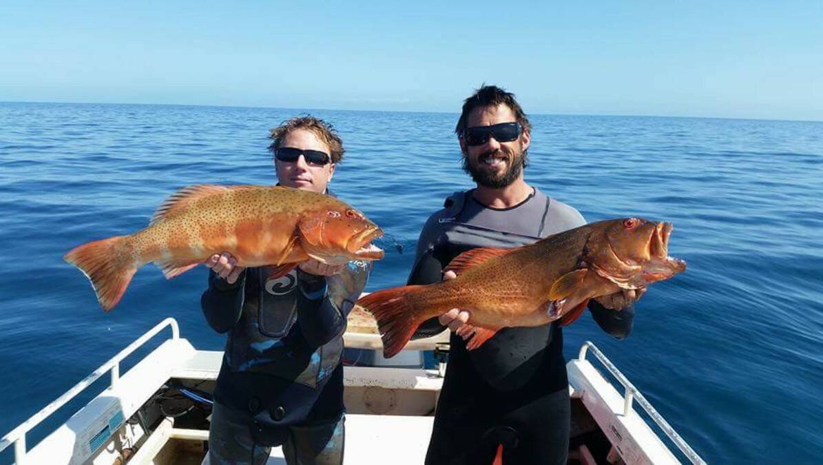 Double delight: Mt Warrigal lads Mark Pascot and Dan Gamble with a pair of coral trout caught during a dive/fishing trip in WA.