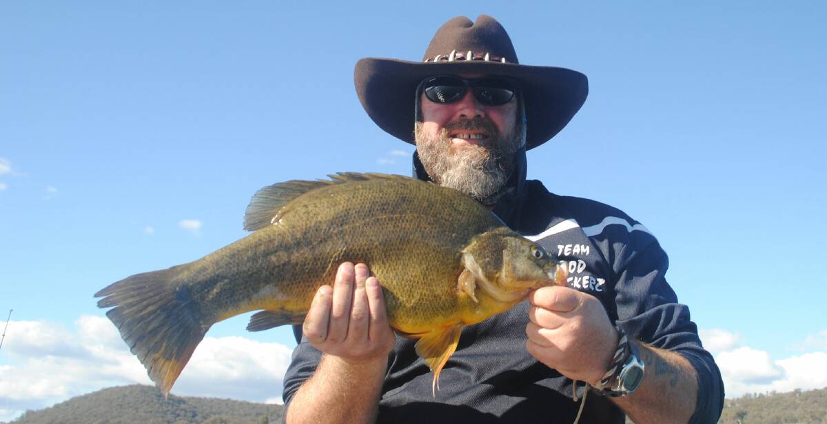 Solid gold: Daryl Wardman with a Windamere Dam golden perch. (Photos submitted for publication should be high res - around 1MB or larger)
