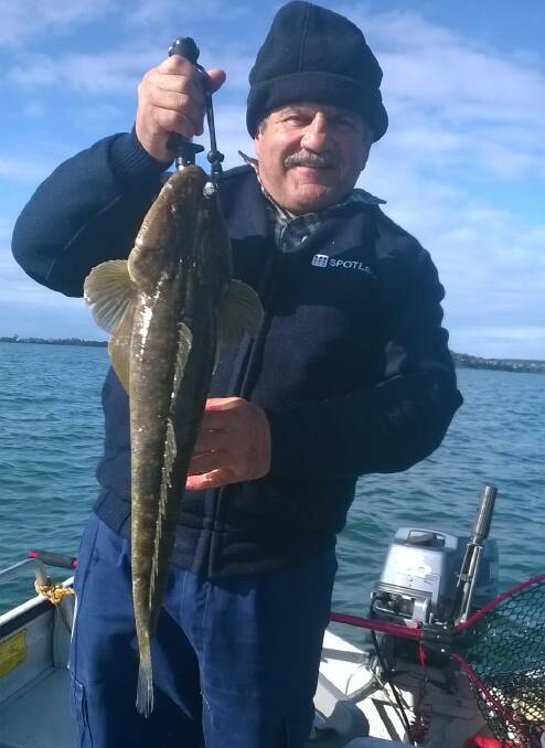 Nice catch: Teddy Farrugia with his 63cm Lake Illawarra flattie.