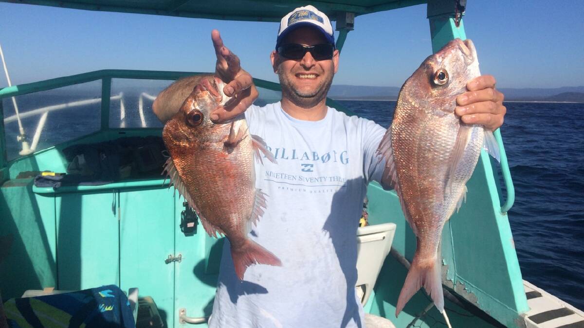 Snapper time: Anthony Fumaria fished Bendalong for these nice snapper. (Photos submitted for publication should be high res - around 1MB is ideal).