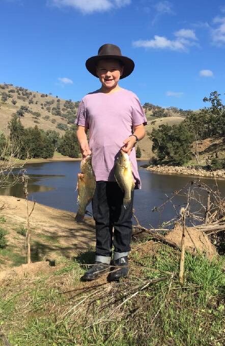 Fresh water fun: Noah Skippen travelled to the Abercrombie River to nail these two golden perch.