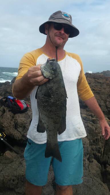  Brett Coles fished Bass Point for this 2 kilo black drummer.