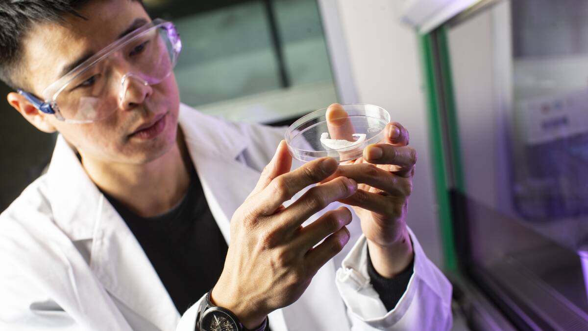 BIO-PRINT SOLUTION: University of Wollongong research fellow Jonathon Chung holds a 3D bio-printed ear prototype. TRICEP (Translational Research Initiative for Cellular Engineering and Printing) was launched on Tuesday.