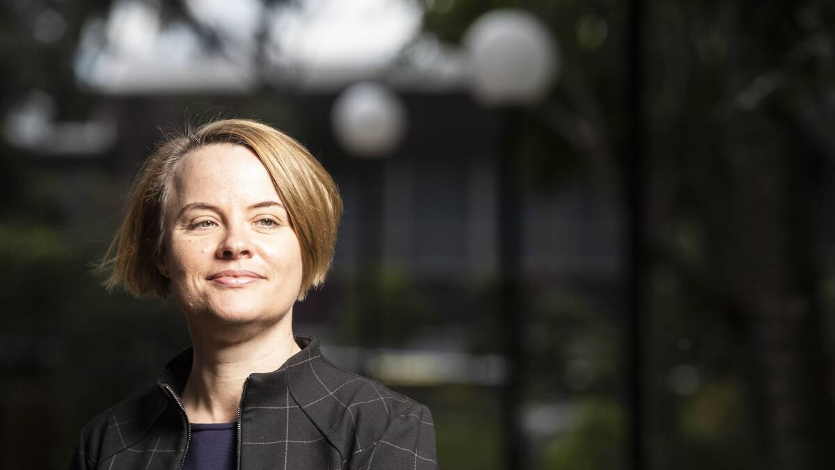 UOW's School of Education head Professor Sue Bennett will be the deputy director of the Australian Research Council (ARC) Centre of Excellence for the Digital Child.