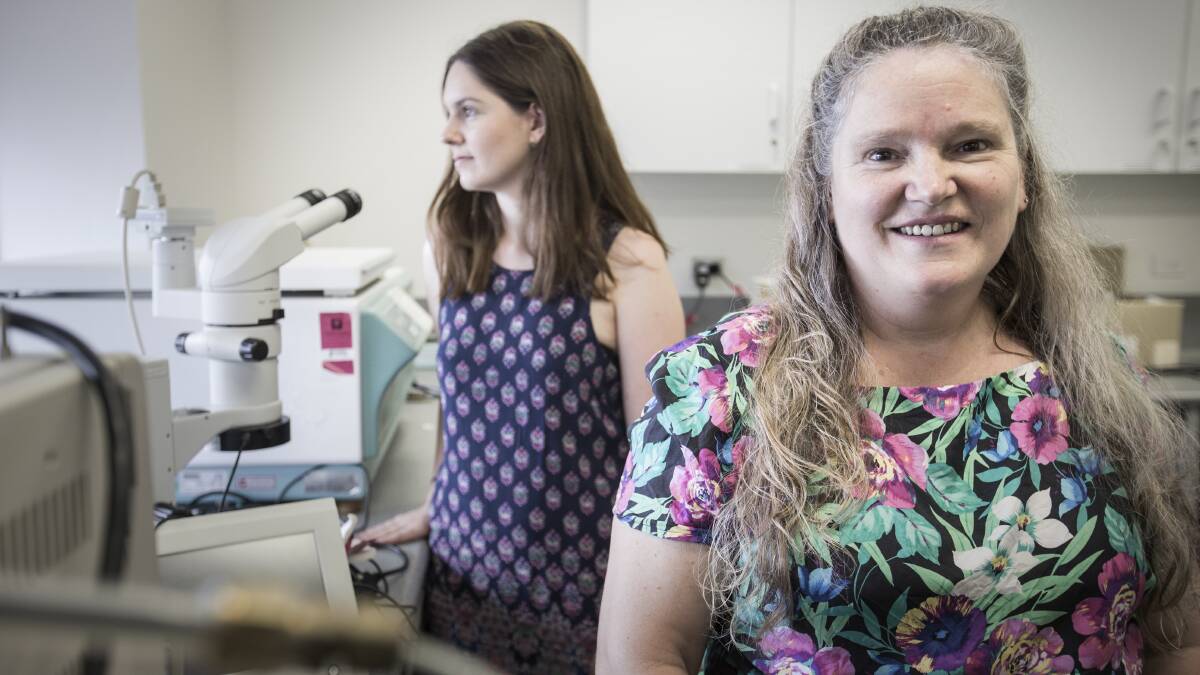 DOUBLE HONOUR: University of Wollongong PhD student Lauren Roach and UOW Associate Professor Barbara Meyer were both acknowledged at the annual Nutrition Society of Australia (NSA) conference in Melbourne.
