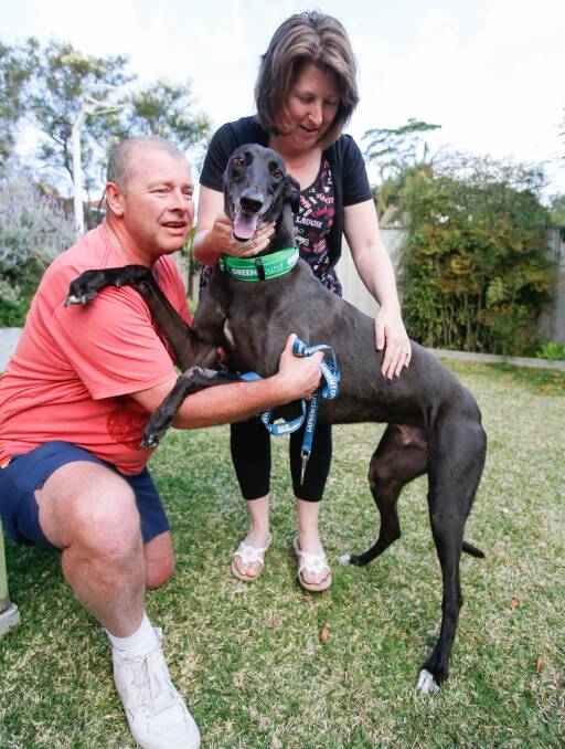NEW HOME: Dapto couple Darryl Murphy and Nerida Margrie adopted greyhound Lucky from the Greyhounds As Pets program. Picture: Adam McLean