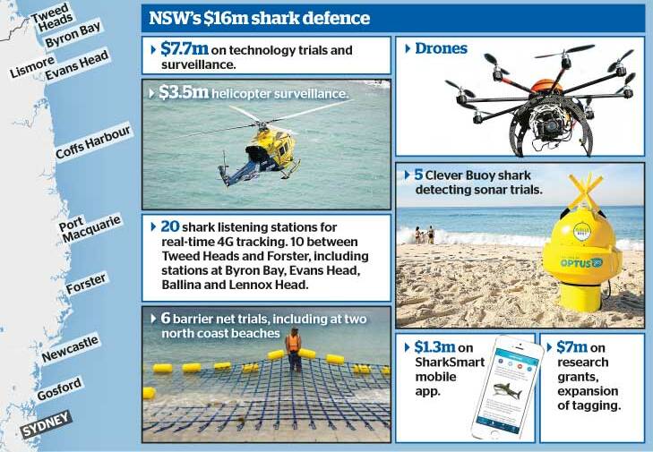 Shark talk won’t put the bite on visitor numbers | poll | video