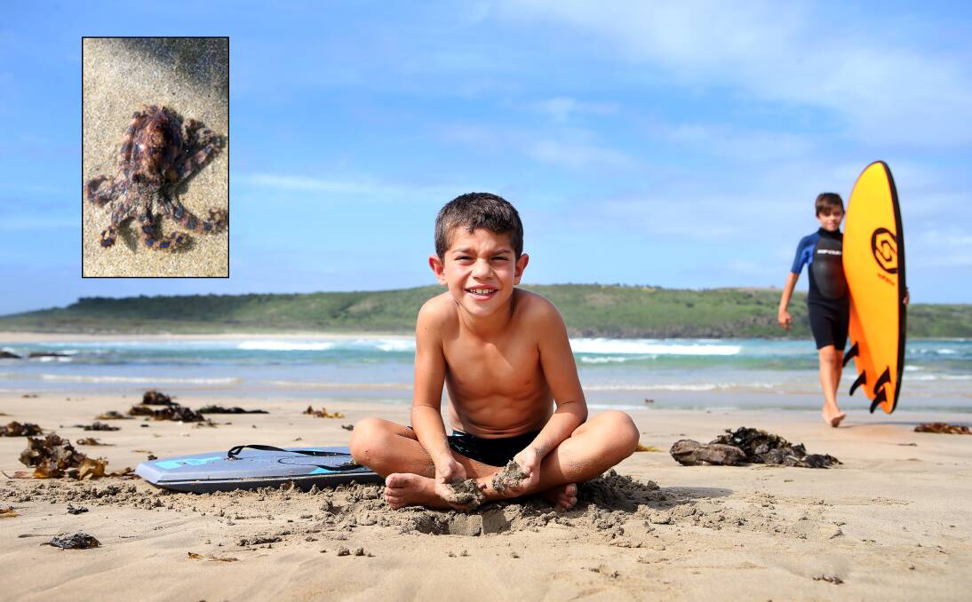 ALERT: Ashton Moran was playing on the water's edge at The Farm beach at Killalea while his brother Riley (right) had a surf lesson, when he unknowingly scooped up a blue-ringed octopus. Picture: Sylvia Liber. Inset: Lee Moran