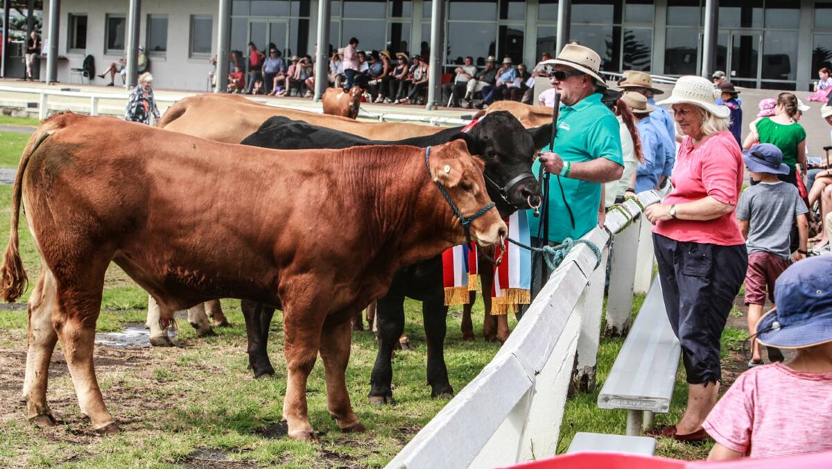 Despite the wet weather for much of the afternoon, a healthy crowd still turned out at Kiama Showground on Friday. Picture: GEORGIA MATTS