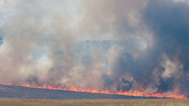 A bushfire burns through grasslands near Tarago. Photo: Elesa Kurtz
