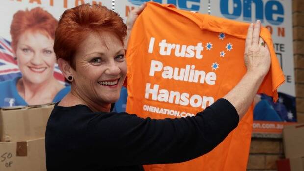 Pauline Hanson Photo: Tertius Pickard