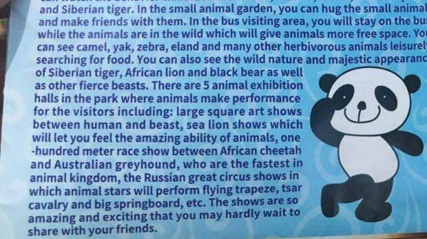 Tourist attraction: The park promotes the "race show" between cheetah and greyhound in its brochure. Photo: Supplied
