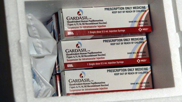 Boxes of the vaccine Gardasil. Photo: Peter Rae
