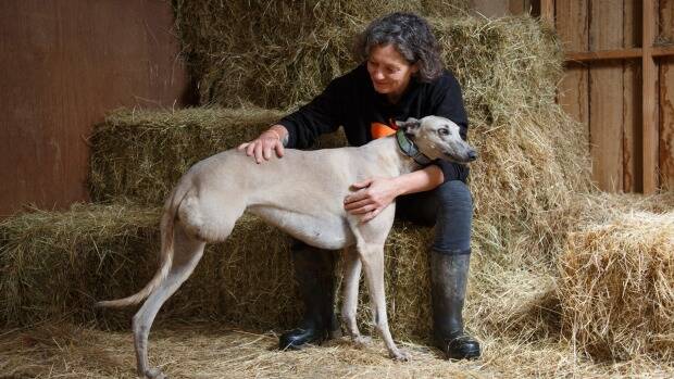 Emma Haswell, with Jenny, one of her rescued greyhounds. Photo: Peter Mathew