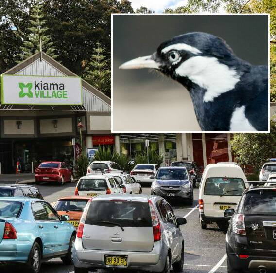 A spat over liability for a damaging bird attack at Kiama Village Shopping Centre has been decided in the Workers Compensation Commission.