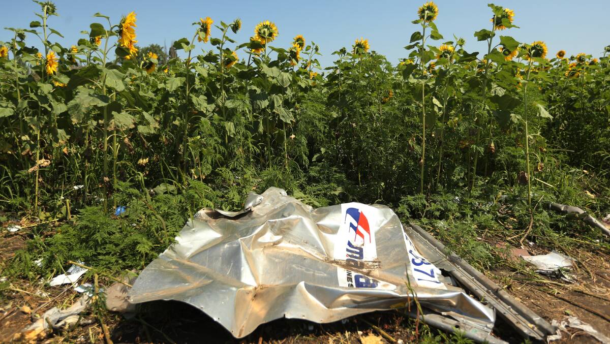 A piece of plane debris at one of the sites where the front section of Malaysian flight MH17 crashed and the pilots' bodies were found. Picture: Kate Geraghty