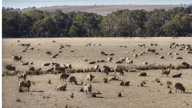 Droughts are likely to get worse as the climate changes, climate scientists say. Photo: Simon O'Dwyer