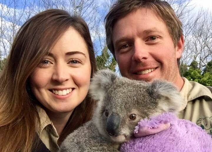 Symbio's Kylie Elliott and Matt Radnidge's have been hand-rearing a baby koala they have named Imogen.