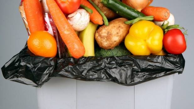 According to a report, the average Australian household wastes $616 in food each year. Photo: Sasha Woolley