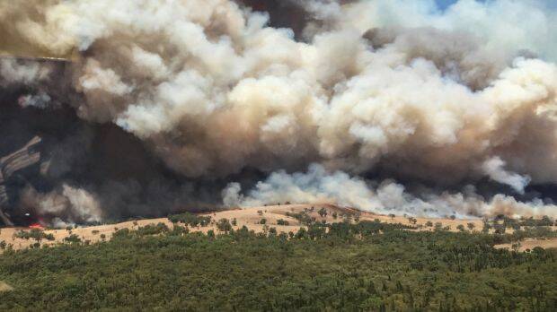 The Sir Ivan bushfire, near Dunedoo, on Sunday.  Photo: NSWRFS
