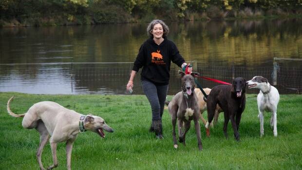 Emma Haswell, the owner of Brightside Farm Sanctuary in the Huon Valley, near Hobart, with a posse of greyhounds she has rescued. Photo: Peter Mathew