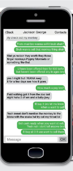 ‘Bruh wanna sell that monkey’: read Jackson George’s text messages