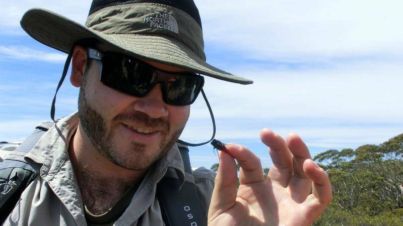 Bug catcher: Plant scientist and cicada researcher Dr Nathan Emery out in the field. Picture: Alison Foster