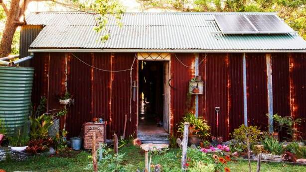 Stefanie Bassett lives off the grid in her home near Lismore, and took some time to find an expert to verify the painting was a Margaret Olley. Photo: Kara Rosenlund
