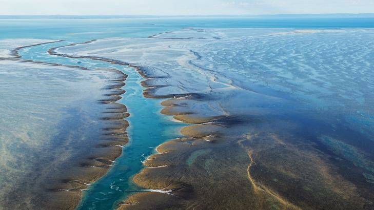 Montgomery Reef, Kimberley, Western Australia. Photo: laurenepbath