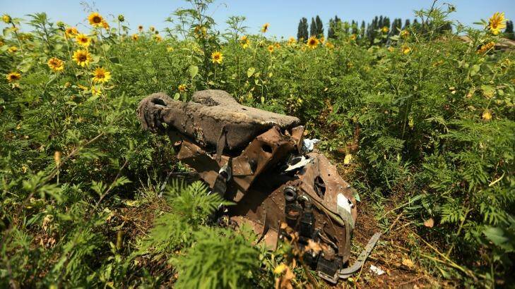 Heartbreaking: One of the pilot's seats from MH17 lies in a Donetsk field. The sunflower seeds - from the same crop that was flowering at the time of the tragedy - have now been brought to Australia. Photo: Kate Geraghty