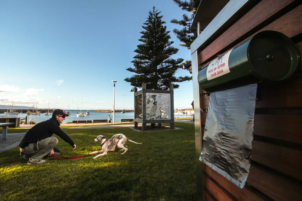Audra Jaeger, with her whippet Roxy at Belmore Basin on Tuesday. Picture: ADAM McLEAN