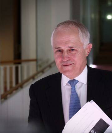 Communications Minister Malcolm Turnbull has declared support for some changes to the Racial Discrimination Act. Photo: Andrew Meares